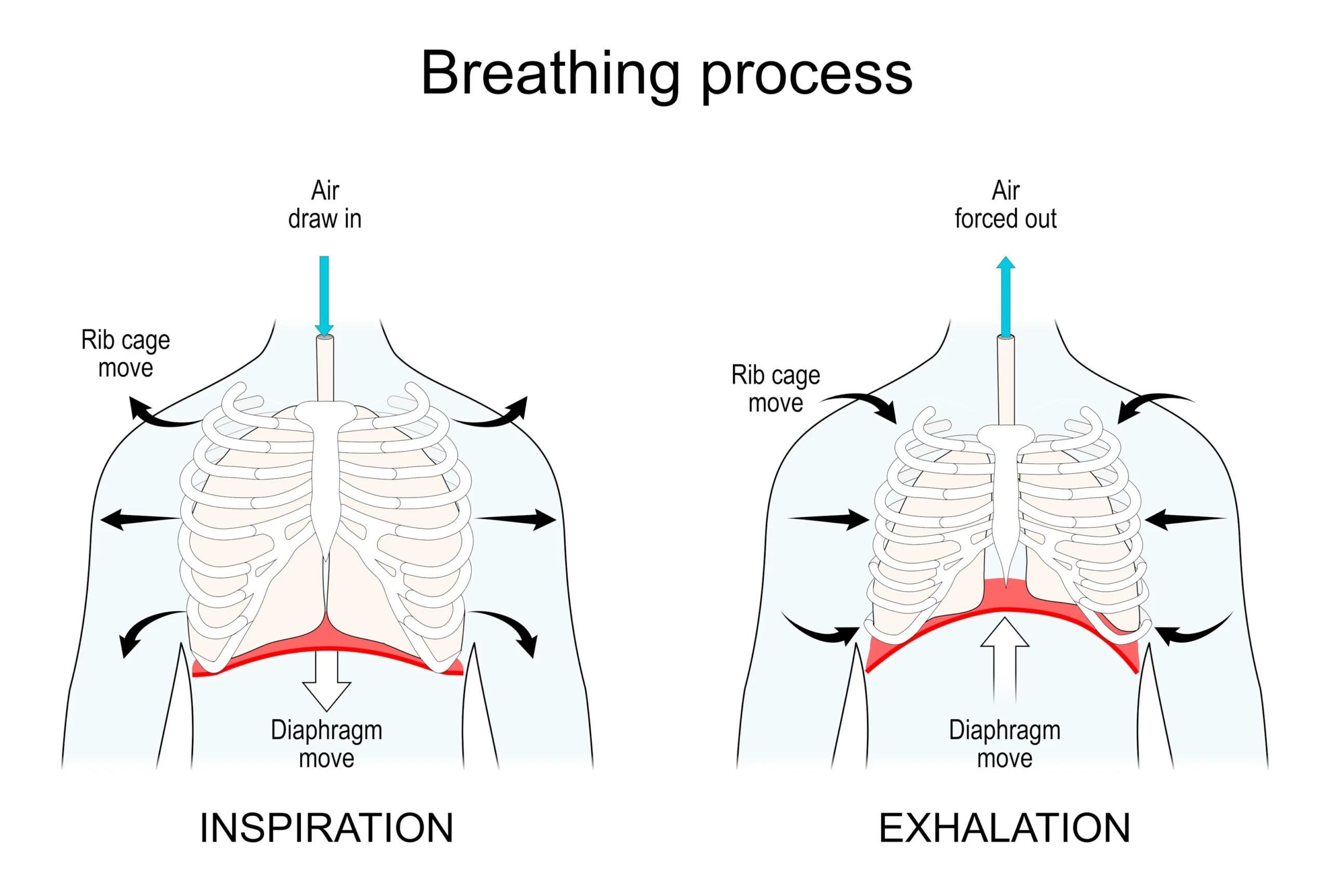 Featured image for “Wellbeing Facts – Week 3”